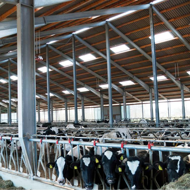 Landwirtschaftsbau – Zukunftsweisende Konzepte für moderne Betriebe